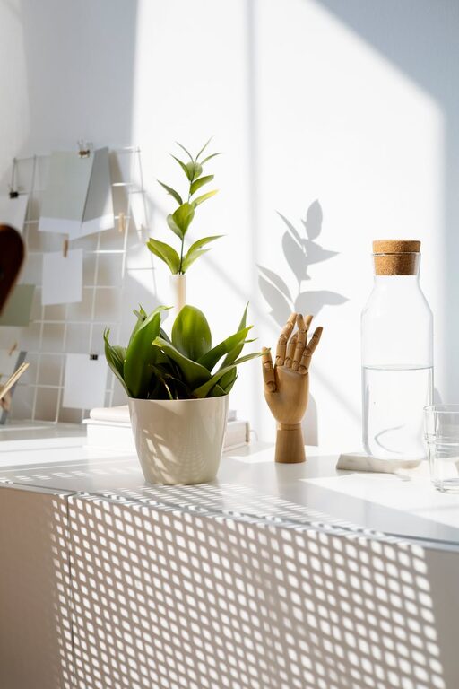 How to Start a Small Herb Garden Indoors: A Simple Beginner’s Guide
